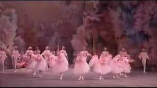 Tchaikovski - Casse-noisette (Nutcracker) - Valse des fleurs