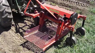 Delmorino DM100 Side Discharge Potato Digger