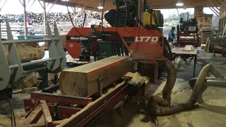 Woodmizer LT70 Sawing Beech Grade Lumber