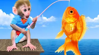 Monkey Baby Bon Bon go fishing and plays with Ducklings and puppy in the swimming pool