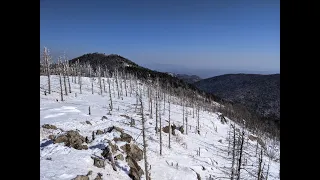 Поход на гору Фалаза (Приморский край)