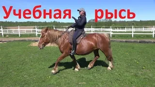 Учебная рысь. Немного "хитростей".