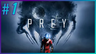 Prey - Прохождение Hard - Стрим №1