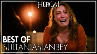 Sultan Aslanbey'in en iyi sahneleri  | Best Of Hercai Karakterleri