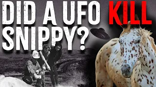 Was Snippy the Horse Killed by a UFO?