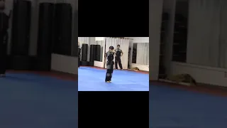 Taylor Lautner doing Martial Arts.mov