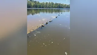 'It blew my mind' | Drop in water levels leads to discovery of shipwreck in the Neches River