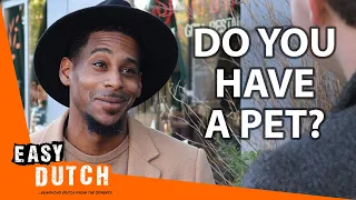 Do the Dutch Have Pets? | Easy Dutch 45