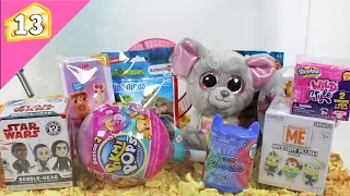 Blind Bag Mouse House #13 - Pikmi Pops Season 2, Num Noms Dippers, Star Wars Bobble Heads, Schleich