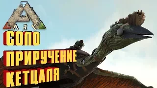 СОЛО ПРИРУЧЕНИЕ КЕТЦАЛЯ, БЫСТРАЯ ПРОКАЧКА - ARK: Scorched Earth