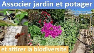 J'associe jardin et POTAGER pour attirer la BIODIVERSITE