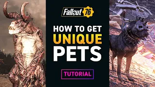 UNIQUE PETS for your CAMP – Fallout 76 Tutorial