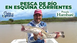 PESCA de río en ESQUINA CORRIENTES con Posadas HAMBARÉ #pesca #surubi #rioparana #pescaycocina