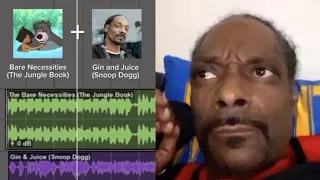Snoop Dogg reacting to me ruining his song