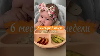 Безопасная подача - правило №1❕ #blw #самоприкорм #6months #6месяцев #прикорм #babyledweaning