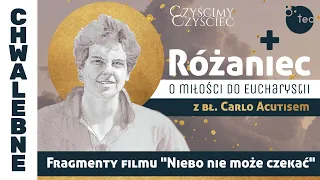 Różaniec Teobańkologia o miłości do Eucharystii z bł. Carlo Acutisem