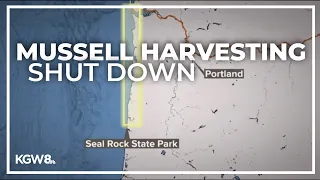 Mussel closure extended across northern coast due to reported illnesses