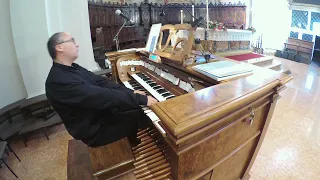 IMPROVISATION FANTASIA from THEME of SCHUMANN KINDERSZENEN n. 10 Op. 15