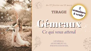 ♊️ Gémeaux✨Mars 2023✨Vous êtes verni ! Le plus dur c'est de choisir ! Tirage - Guidance