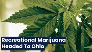 Legal Marijuana on Its Way to Ohio