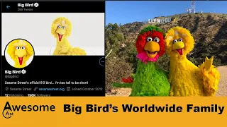 Big Bird's Worldwide Family on Twitter