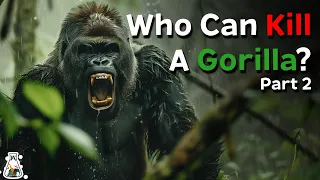6 Animals That Could Defeat A Gorilla - Part 2
