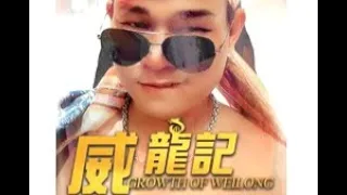 【INDO SUB】 Growth of Weilong #vsoindonesia #inspirasi