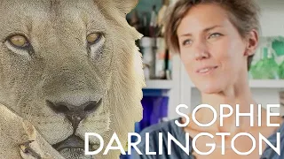 Life Through A Lens: Sophie Darlington | Meet My Planet | Earth Unplugged