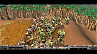 Warcraft 3 Versus - 20 Draftees (Quillboar Tribes) Vs 20 Grunts (Orcs) - Full Upgrades