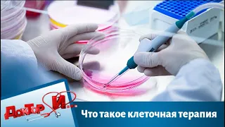 Что такое клеточная терапия | Доктор И