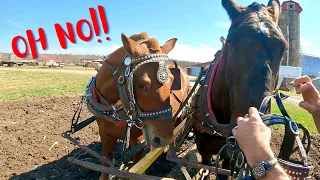 BARON'S FIRST PLOWING EXPERIENCE.... we almost got into some trouble!!!! #470