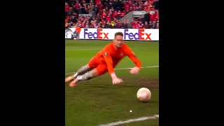 Incredible Goal Line Saves 😱