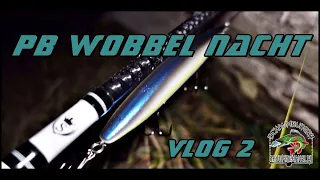 Zander PB Nacht ‼️ Angeln mit Wobbler VLog 2