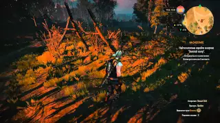 # 66 Ведьмак 3 Открываем знаки вопросов The Witcher 3