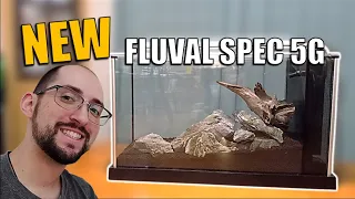 I started my new Fluval Spec 5G aquarium (aquascape tutorial)