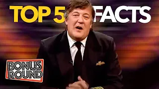 QI's Most Viewed Questions EVER With Sandi Toksvig & Stephen Fry