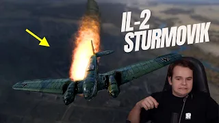 The Cruelest Flight Sim - IL-2 Sturmovik