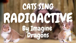 Cats Sing Radioactive by Imagine Dragons | Cats Singing Song