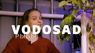 VodoSAD | Аквапоника О РЫБАХ!