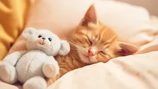 EXTREMELY Soothing Cat Therapy Music - Relax Your Cat! Cat Music