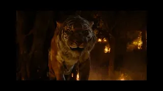 Simba Vs share khan (part 2)