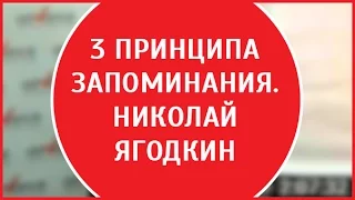 Три главных принципа запоминания информации