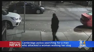 Police searching for man who attacked woman walking dog in Cambridge