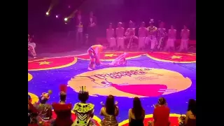 Принцесса цирка 2016.
