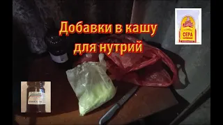 КОРМОВЫЕ ДОБАВКИ ДЛЯ НУТРИЙ.  Что и как даю я.