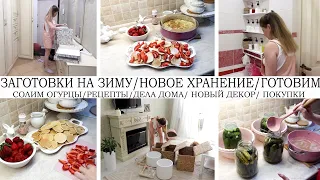 🤩ЗАГОТОВКИ НА ЗИМУ👍НОВОЕ ХРАНЕНИЕ💥ПОКУПКИ ДЛЯ ИНТЕРЬЕРА И ДОМА🛍ВКУСНЫЕ РЕЦЕПТЫ🥞УБОРКА И УЮТ🧹ГОТОВИМ🐝