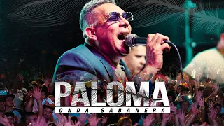 Onda Sabanera - PALOMA (Video Oficial)
