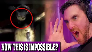 THE THUMBNAIL ISN'T THE ONLY THING THAT YOU WON'T BELIEVE - That Is Impossible