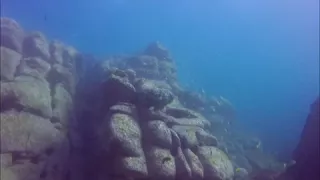 Diving - Blue Fish Wall, Manly Australia