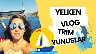 YELKEN SEYRİ VLOG TRİM YUNUSLAR - 26.BÖLÜM